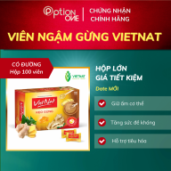 [HCM]Kẹo ngậm thảo mộc - gừng Vietnat (hộp 100v) thumbnail