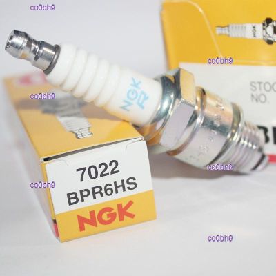 co0bh9 2023 High Quality 1pcs NGK spark plug BPR6HS is suitable for Yangtze River 750 two-stroke pedal 100 90 80 70 tumbler 50CC