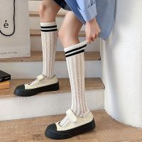 【CC】㍿✜☫  Thin Socks Stockings Hollow Out Mesh Breathable Knee Striped