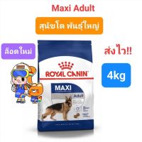 Royal Canin Maxi Adult {4kg} สุนัขโต พันธุ์ใหญ่ ขนาด 4กิโลกรัม