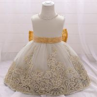 [COD] European and cross-border baby beaded fluffy princess dress mesh embroidery girls full moon wash