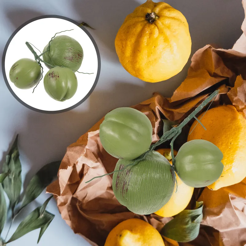 Discover 156+ fake coconuts decoration vova.edu.vn