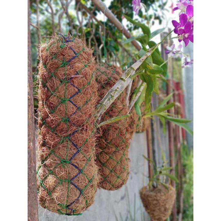 40cm Coco Wattles for orchids High Quality Coconut Coir Coco Wattles