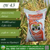 เมล็ดพันธุ์ข้าวนาปรัง  กข.43 (25 k.g.) มีของพร้อมส่ง เก็บปลายทางได้