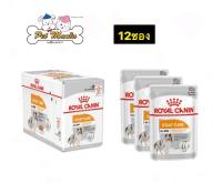 (12ซอง)Royal Canin Coat Care Loaf อาหารเปียกสุนัข สำหรับสุนัขโตต้องการบำรุงขนพิเศษ (เนื้อโลฟ)