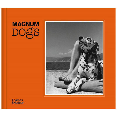 Original magnum dogs magnum dogs English original hardcover photography collection stray dog performance dog pet dog hook pet photography collection