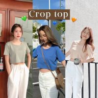 ❧№ [TOPBASIX] - Crop เสื้อยืดครอป คอยู สี