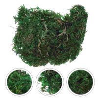 Artificial Plants Indoor Moss Preserved Fake Moss 13x9x3cm Artificial Moss Lichen Spanish Moss Fresh Green Sphagnum Moss