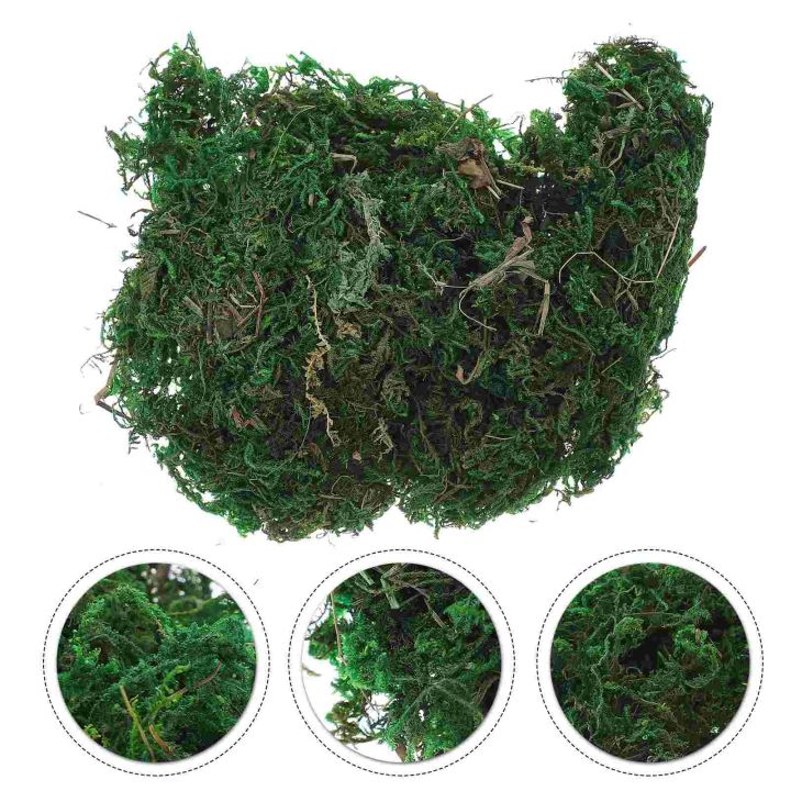 Fake Spanish Preserved Artificial Moss Plant