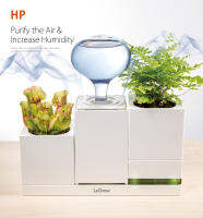 LeGrow Humidifier กระถางต้นไม้มีตัวทำละอองน้ำในตัว สร้างความชุ่มชื่นให้ต้นไม้ และบริเวณรอบๆ มีที่ชาร์จ USB