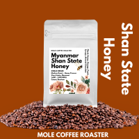 Mole Coffee : เมล็ดกาแฟคั่ว Myanmar Shan State Honey ถูก คุ้มค่า ส่งไว คั่วใหม่ 250 กรัม