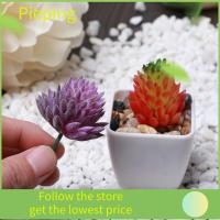 PIEPING 1 PC DIY ตกแต่ง การจัดดอกไม้ ดอกไม้ประดิษฐ์ พืชจิ๋ว Succulents จำลองสถานการณ์ กระบองเพชรเหมือนจริง