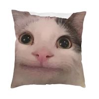 hot！【DT】✕☋  Polite Meme Pillowcase Soft Polyester Cushion Cover Decorations Throw 18