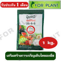 ปุ๋ย กระต่าย สูตร 25-5-5 บำรุง ราก ต้น ใบ ดอก ผล ใส่ผัก ผลไม้ ไม้ดอกไม้ประดับ ขนาด 1 กิโลกรัม(กก)