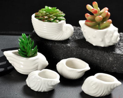 6pcspack ceramic flower pots planters home decor flower vases ceramic vases cute shell cartoon vase Succulent pots