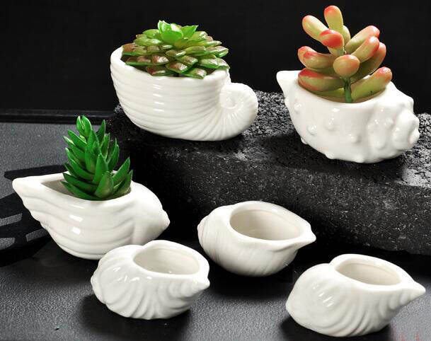 6pcspack-ceramic-flower-pots-planters-home-decor-flower-vases-ceramic-vases-cute-shell-cartoon-vase-succulent-pots