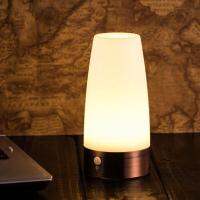 PIR Motion Sensor Night Light Battery Powered LED Table White Wireles Lamp NEW STYLE Warm N3A1