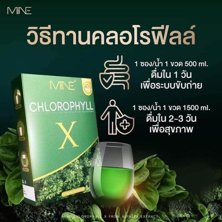 4-กล่อง-mine-chlorophyll-x-มายน์-คลอโรฟิลล์-เอ็กซ์-5-ซอง