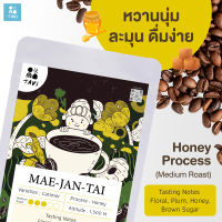 เมล็ดกาแฟแม่จันใต้ Tavi Mae Jan Tai Coffee  | Medium Roast | Honey Process | Bean variety: Catimor