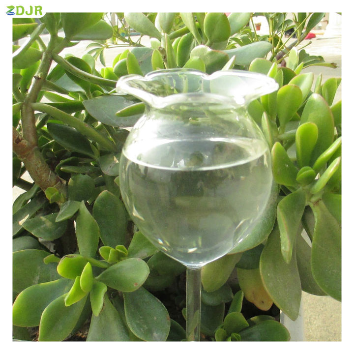zdjr-ลูกโลกรดน้ำแก้วบอโรซิลิเกตทรงสูงที่ทนทานและโปร่งใสสำหรับกระถางพืชในบ้าน