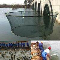 Foldable Drop Fishing Landing Net Crayfish Catcher Casting Network Mesh Fish Trap/cage Prawn Bait Crab Shrimp Netting P2