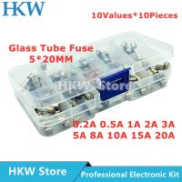 XMM-100pcs Set 5x20mm 10 Values 0.2a 0.5a 1a 2a 5a 20a Quick Blow Glass Tube Fuse Assorted Kit Fuses 5*20mm Diy Kit Fusible Fusibles