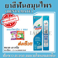 DENTAMATE TOOTHPASTE ยาสีฟันเดนตาเมท 40g [ 1 หลอด ][หมดอายุ 07/2024]