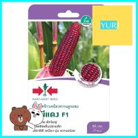 เมล็ดพันธุ์ข้าวโพดข้าวเหนียว F1 มณีแดง ศรแดงWAXY CORN SEEDS SORNDAENG RED MANEE F1 **มีบริการชำระเงินปลายทาง**