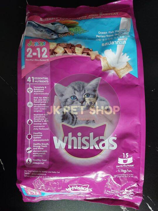 Whiskas Jr. 1.1kg Original Pack for Kitten Lazada PH