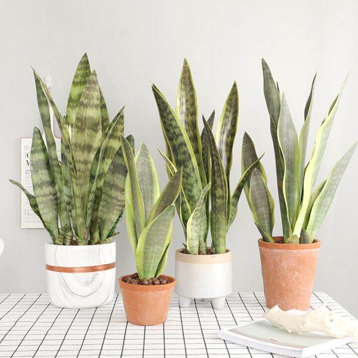 Artificial Tropical Plants Realistic Succulent Tiger Fur Potted Indoor