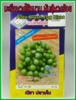 เมล็ดพันธุ์ มะเขือพวง ไร้หนาม พันธุ์พวงร้อย plate brush egg plant ผลดก ดูแลน้อย ต้นแข็งแรง ปลูกง่าย น้ำหนักดี ผลผลิตสูง ทนโรค ผักสวนครัว 80 เมล็ด