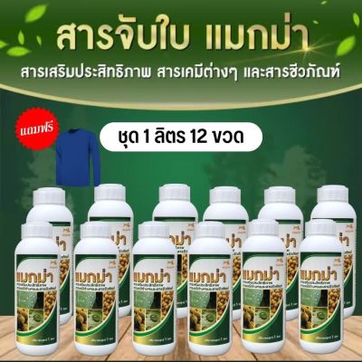 สารจับใบแมกม่า (1ลิตร12ขวด)  Silicone wetting 10% จับใบนำพาสารอาหารจากปุ๋ย ฮอร์โมนพืช สารป้องกันและกำจัดศัครูพืชให้แทรกซึมผ่านใบได้ดีขึ้น10เท่า