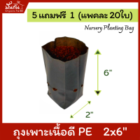 [5แถมฟรี1] ถุงปลูกต้นไม้ 2x6” ถุงเพาะชำ ถุงเพาะสีดำ เจาะรู แพคละ20ใบ [สั่ง5แพค แถมอีก1แพค][Nursery Planting Bag] เนื้อ PE เหนียว ทน อายุใช้งาน 1.5 ปี