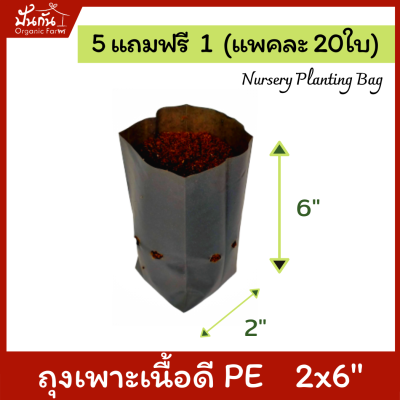 [5แถมฟรี1] ถุงปลูกต้นไม้ 2x6” ถุงเพาะชำ ถุงเพาะสีดำ เจาะรู แพคละ20ใบ [สั่ง5แพค แถมอีก1แพค][Nursery Planting Bag] เนื้อ PE เหนียว ทน อายุใช้งาน 1.5 ปี