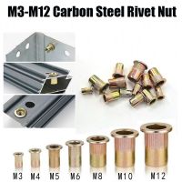 5/10pcs M3 M4 M5 M6 M8 M10 M12 Zinc Plated Carbon Steel Knurled Nut Rivnut Flat Head Threaded Rivet Insert Nutsert Cap Rivet Nut