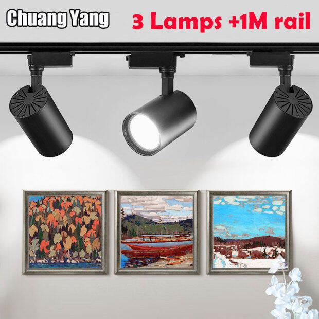 Whole Set（3 lights +1M rail）Led Track Light with Rail, Set of 3 Lamps