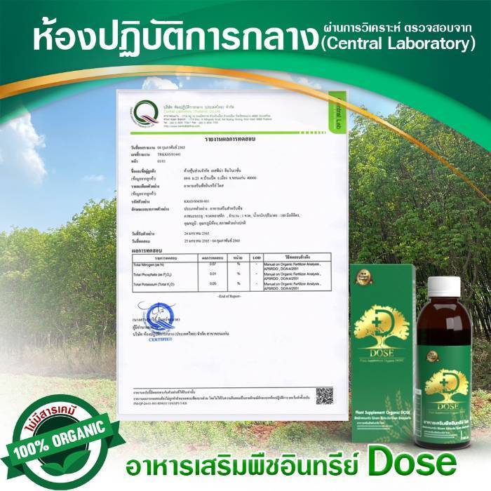 dose-โดส-ฮอร์โมนพืช-2-ขวด-อาหารเสริมพืช-เร่งผลผลิต-เร่งใบ-เร่งต้น-เร่งดอก-เร่งนํ้ายาง-เร่งโต-โตไว-ใบเขียว-เพิ่มผลผลิต