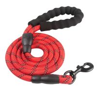 Pet Rope Dog Lead Strong Training Small Medium Large Dogs Leash Reflective Multicolor Nylon Anti-lost Dog Leash