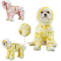 Dog Raincoat Fruit Print Pet Dog Clothes Cute Four Feet Raincoat Dogs Clothing Cat Small Waterproof All Season Fashion Yorkshire