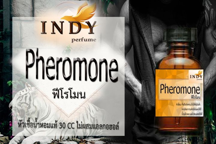 ✨หัวเชื้อน้ำหอมผู้หญิง // INDY Perfume // กลิ่นฟีโรโมนชาย ขนาด 30CC หัวเชื้อเข้มข้น # ติดทนนาน #น้ำหอม #ฟิน ✨