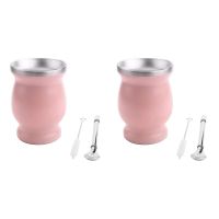 2X Double-Wall Stainless Yerba Mate Gourd Tea Cup Set Coffee Water Cup With 2 Bombillas Straws Spoon &amp; Clean Brush ,Pink