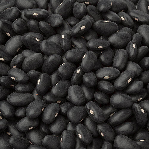 Vigna Mungo/ Black Turtle Beans / Black Mung Beans 1 KILO - Product of ...