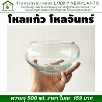 ขวดโหลแก้ว ขวดโหล ขวดโหลแก้ว โหลจันทร์ ใบละ 159 บาท