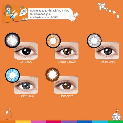 Maxim contact lens ตาโต (Choco Brown) คอนแทคเลนส์สีน้ำตาลตัดขอบดำ รายเดือน 1 คู่ 2 ชิ้น