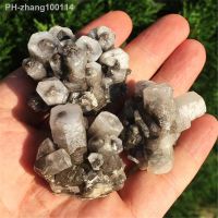 1pcs Natural black columnar calcite crystal clusters of rough rough crystal very personalized Christmas gift free delivery