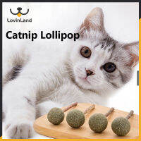 Lovinland Catnip ลูกบอลไม้มิ้นท์ฟันกรามแมวไม้ Tianli ติดแปรงลูกบอลทำความสะอาดฟันสุนัขตลก