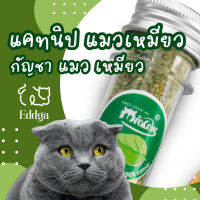 พร้อมส่ง?? ร้านไทย ?? ส่งไว แคทนิป ?? catnip แมว ชอบมาก หอมๆฟิน คลายเครียดน้องแมว อุดหนุนร้านไทย catnip