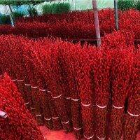 [COD] dried flowers real fresh branches water-raised wintersweet cold-resistant New Years red interior decoration decorative lanterns