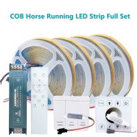 COB Running Water Flowing LED Strip Light WS2811 Horse Race Sequential LED Ribbon With RF Touch Panel Controller DC24V Power