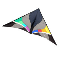 Professional 300cm Ripstop Nylon Delta Kite And Power Kites For s And Children With Handle and Line Good Flying